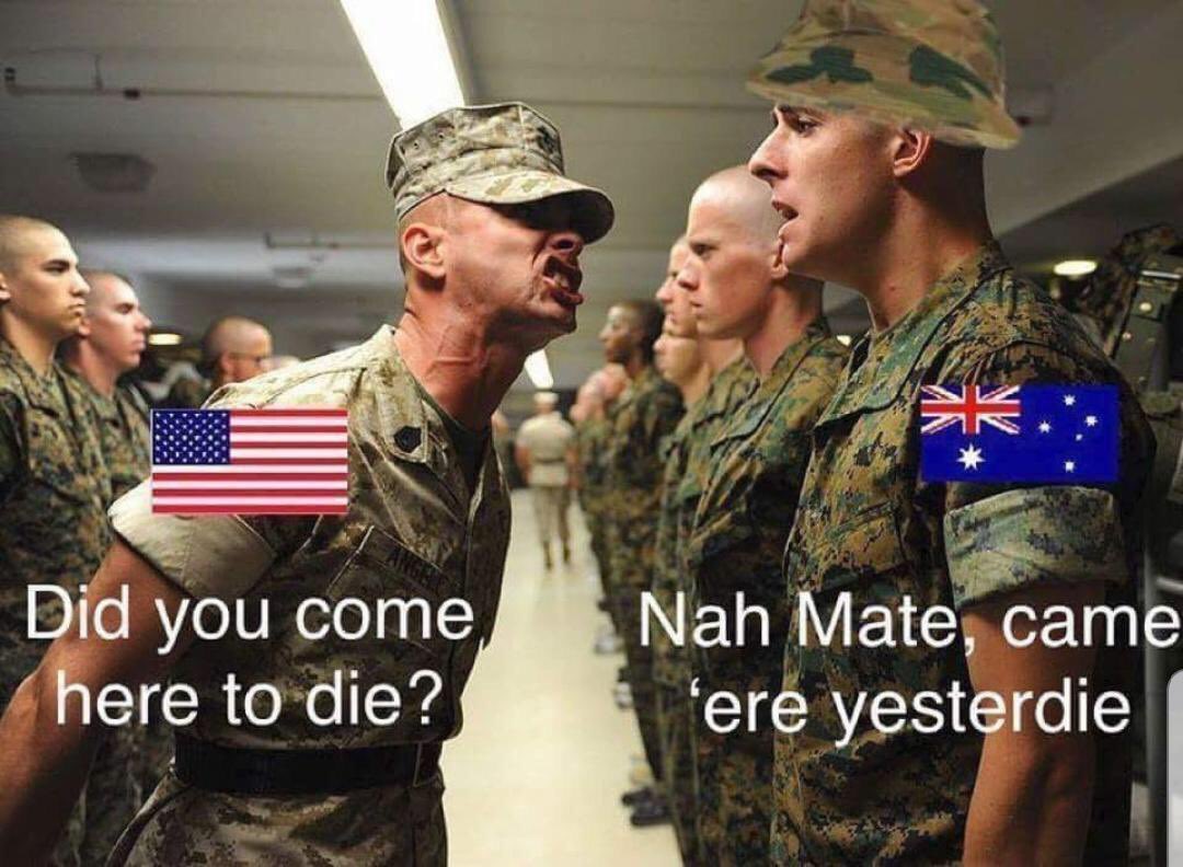 Guy Incognito tweet media