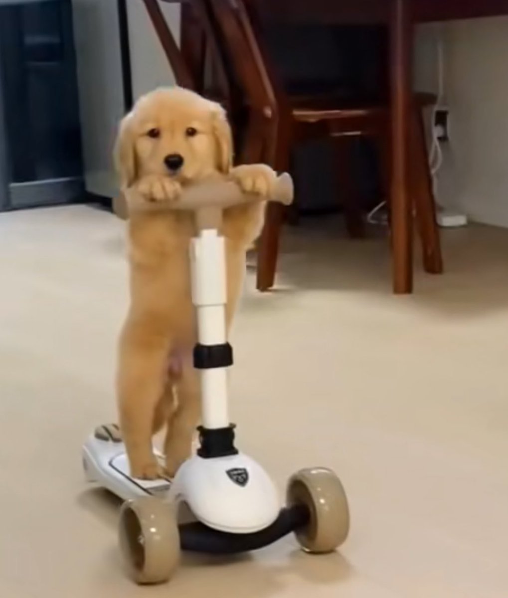 ૮ 핌 ა🧤 tweet media