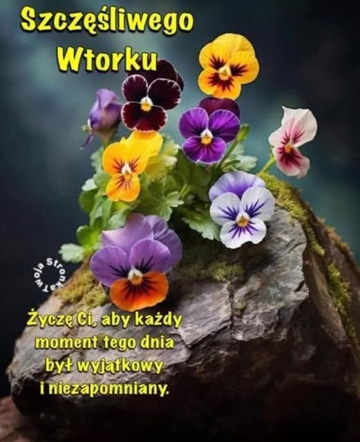 Barbara Trabinska🇵🇱. tweet media