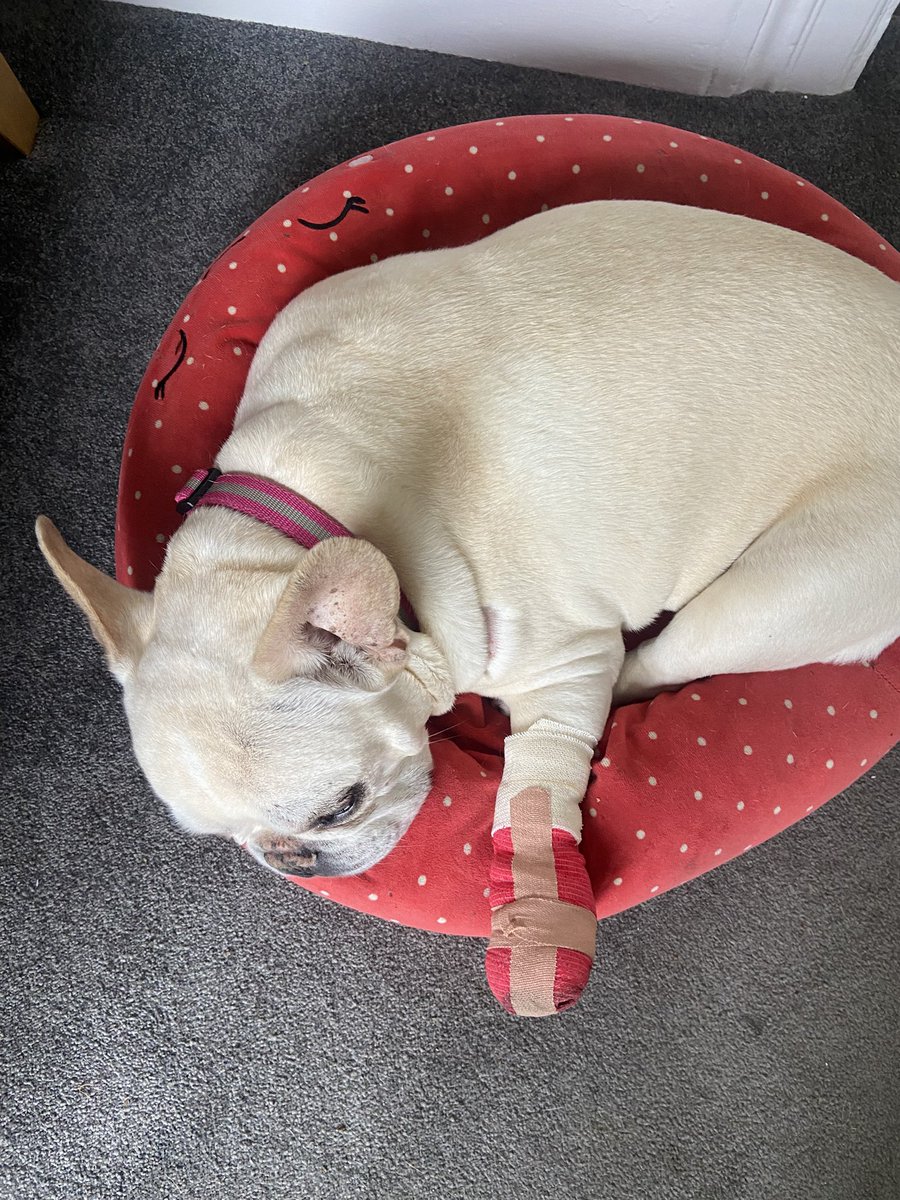 Charlotte ‘Lotty’ Leeming tweet media