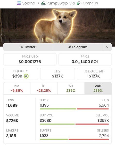 Sol Alpha Hunter tweet media