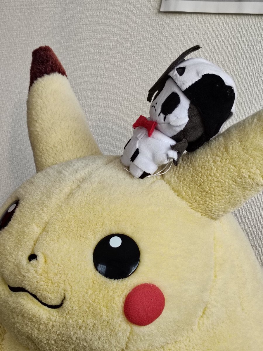 Basilo🥧 tweet media