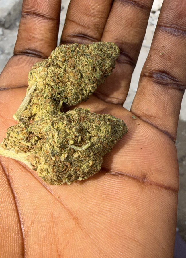 420Milly🌿 tweet media