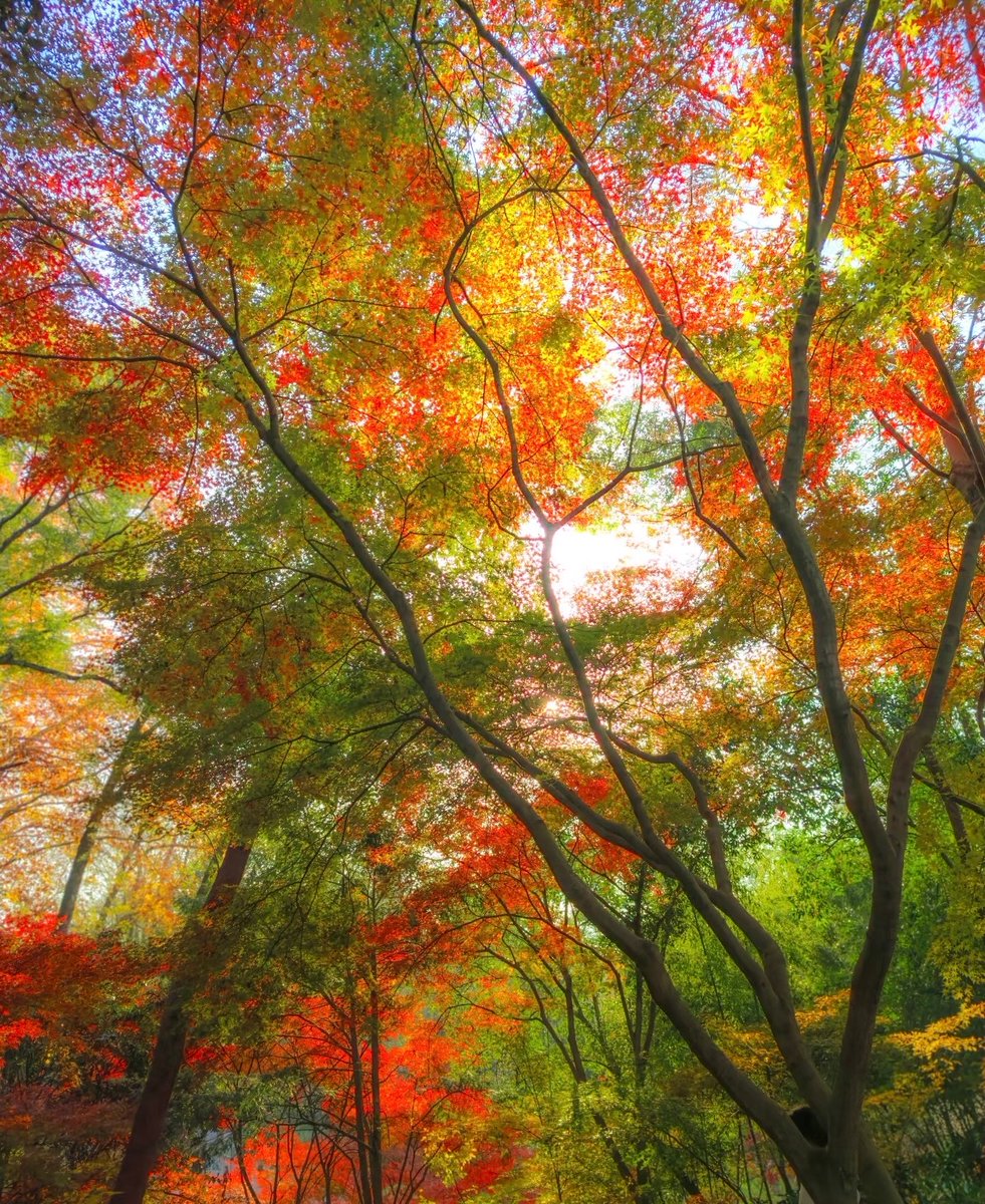 David Mayorga tweet media