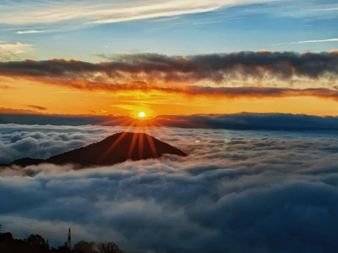 Simone Bertuccio tweet media