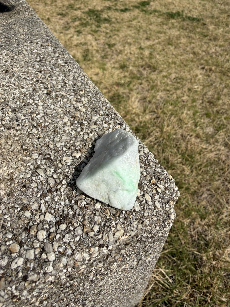 サカナ tweet media