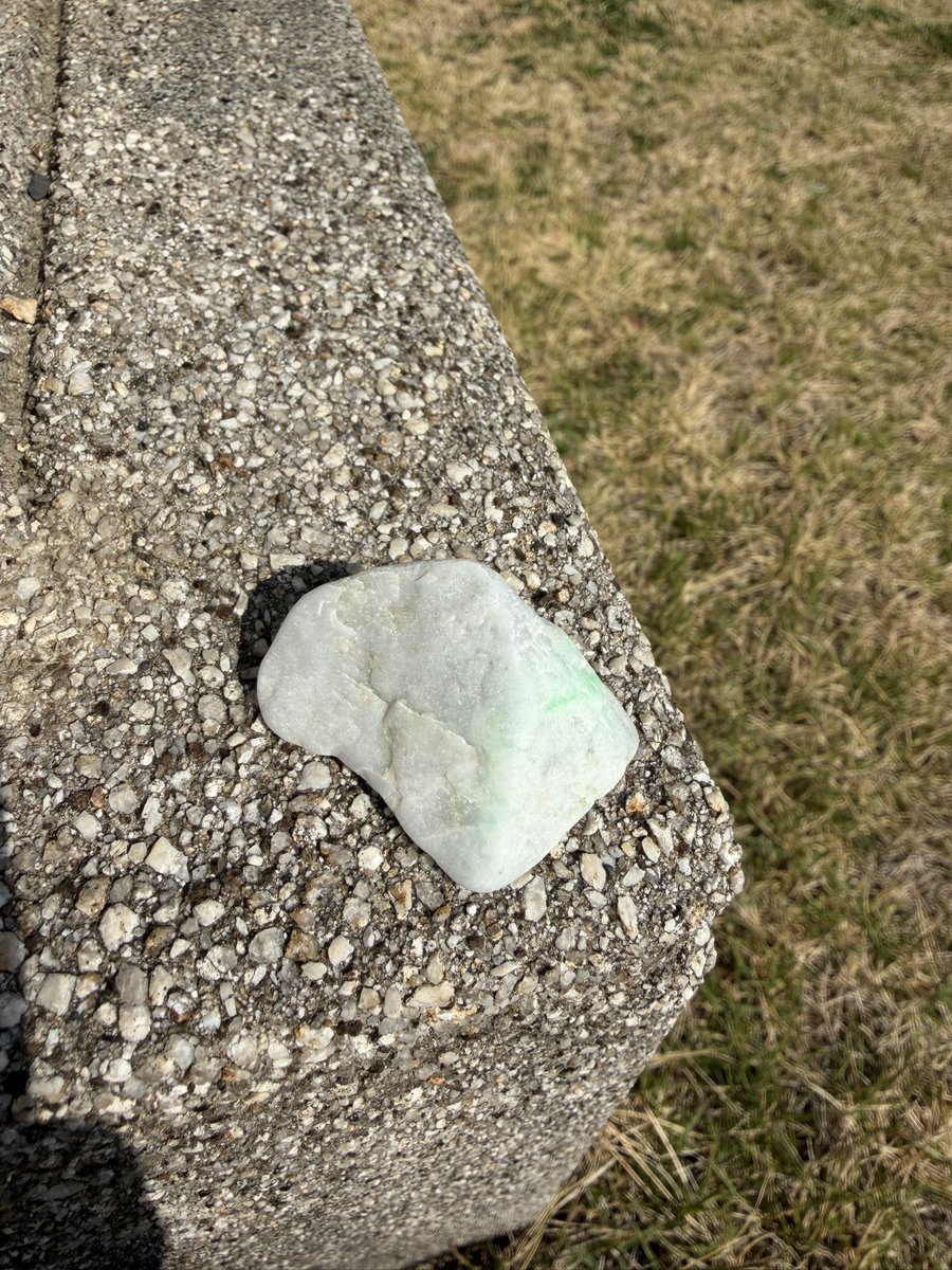 サカナ tweet media