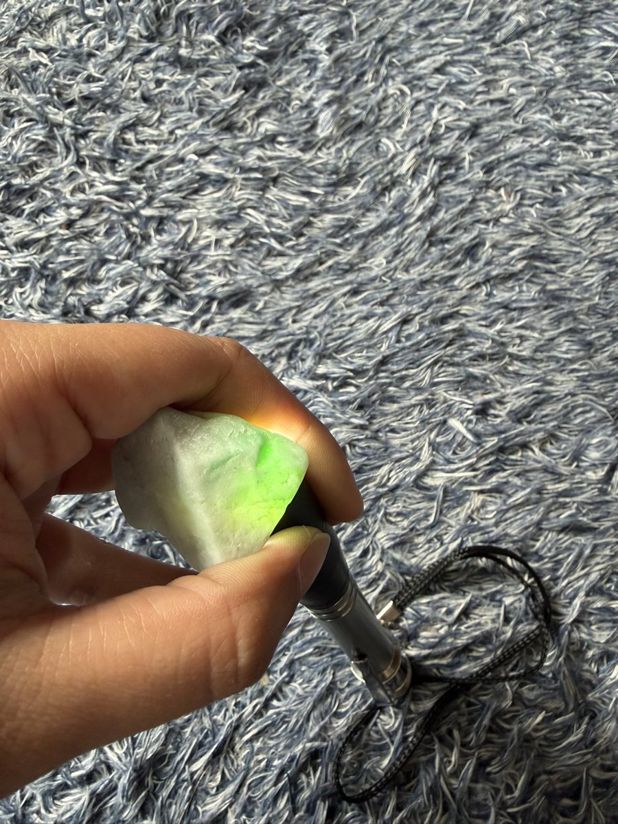 サカナ tweet media