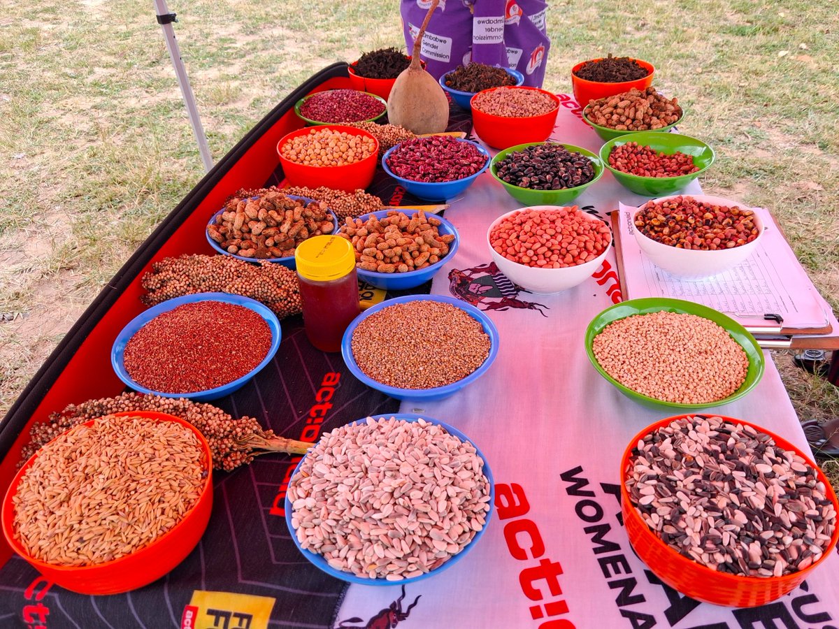 ActionAid Zimbabwe tweet media