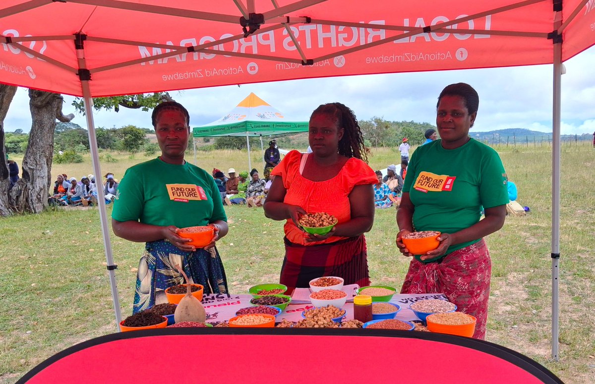 ActionAid Zimbabwe tweet media