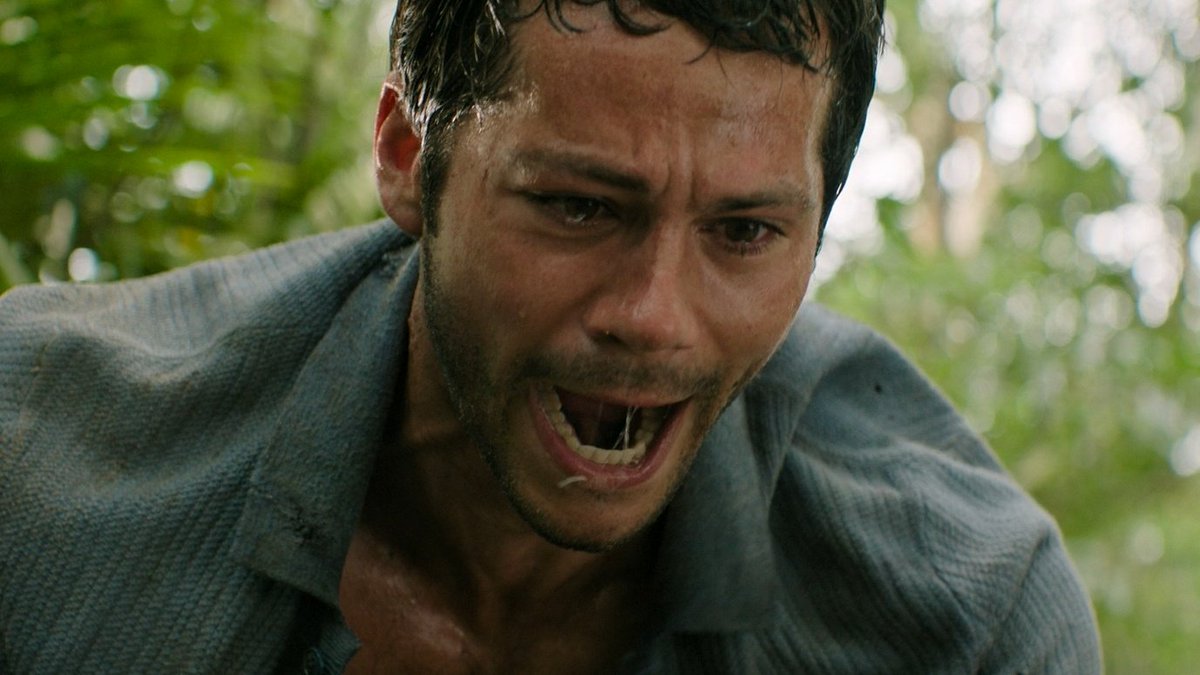 koreanoli tweet media