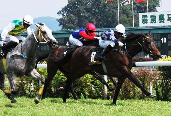 Sporting Post tweet media