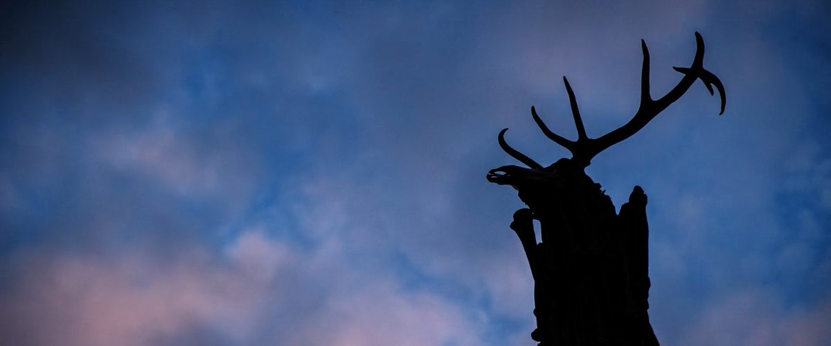 screencaps tweet media