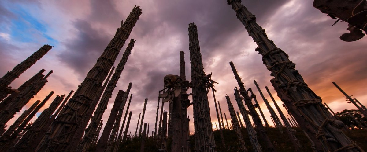 screencaps tweet media