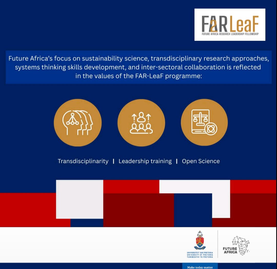 Dorothy Tembo tweet media