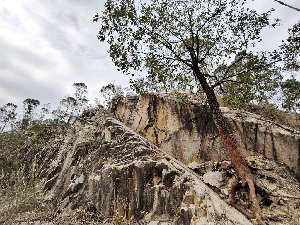 双拼推友 tweet media