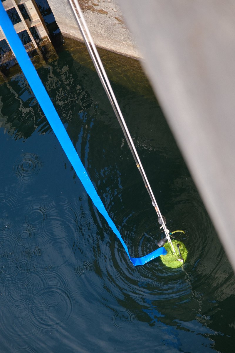 ケルヒャー ジャパン tweet media