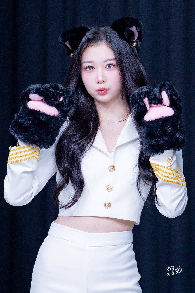 단풍자리 Acérnus tweet media