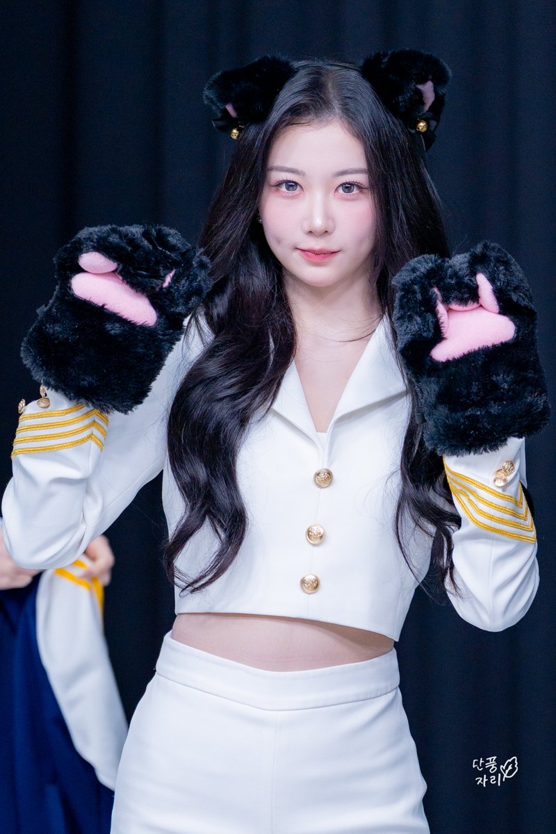 단풍자리 Acérnus tweet media