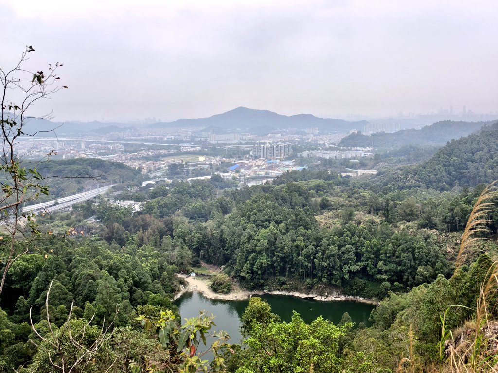 双拼推友 tweet media