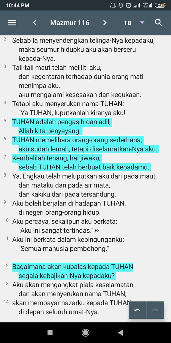 okto sihombing tweet media