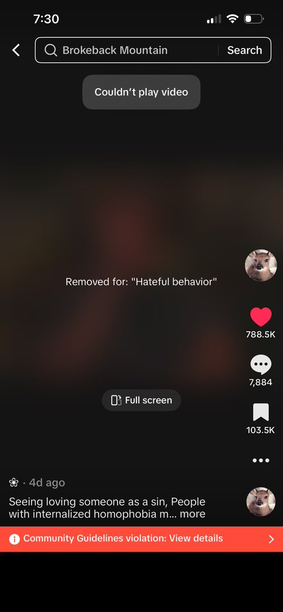 ℓαყℓα¹⁷⁹ ⋅˚₊‧ 🏓 tweet media