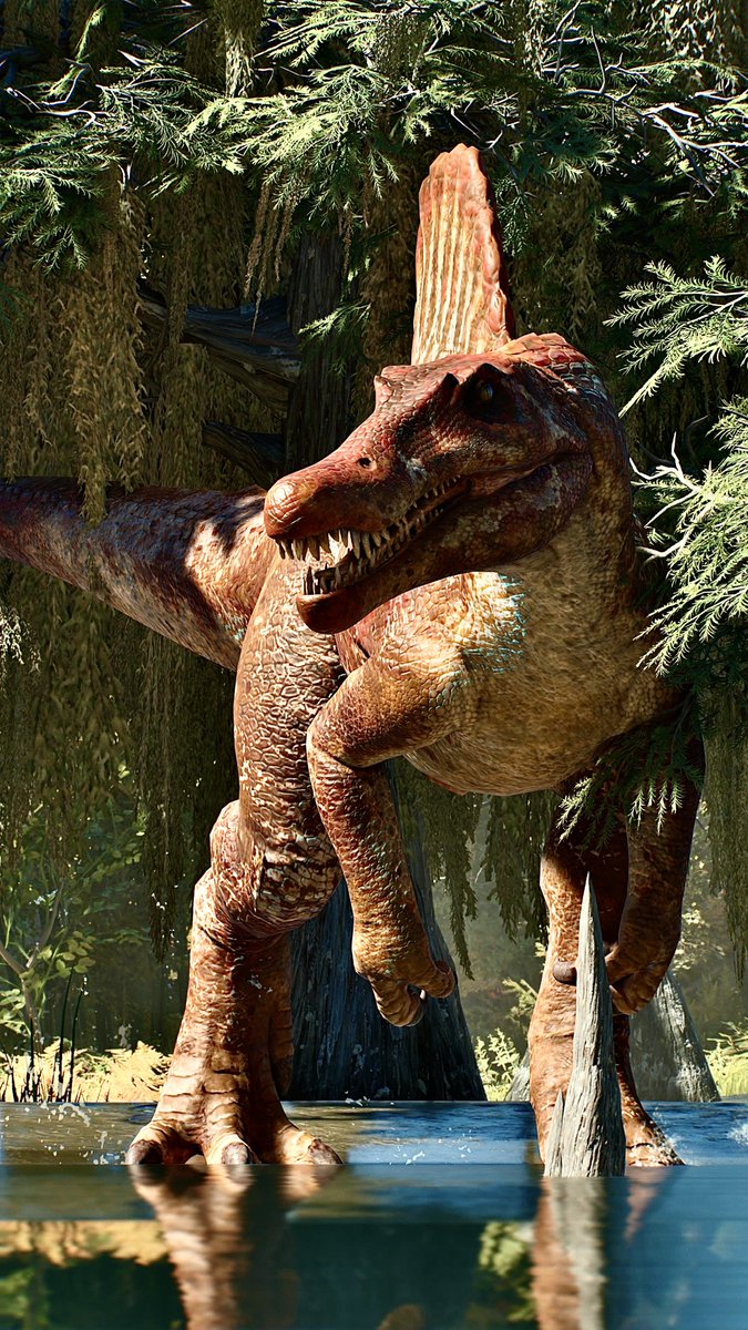 📸－FIRST－📸 tweet media