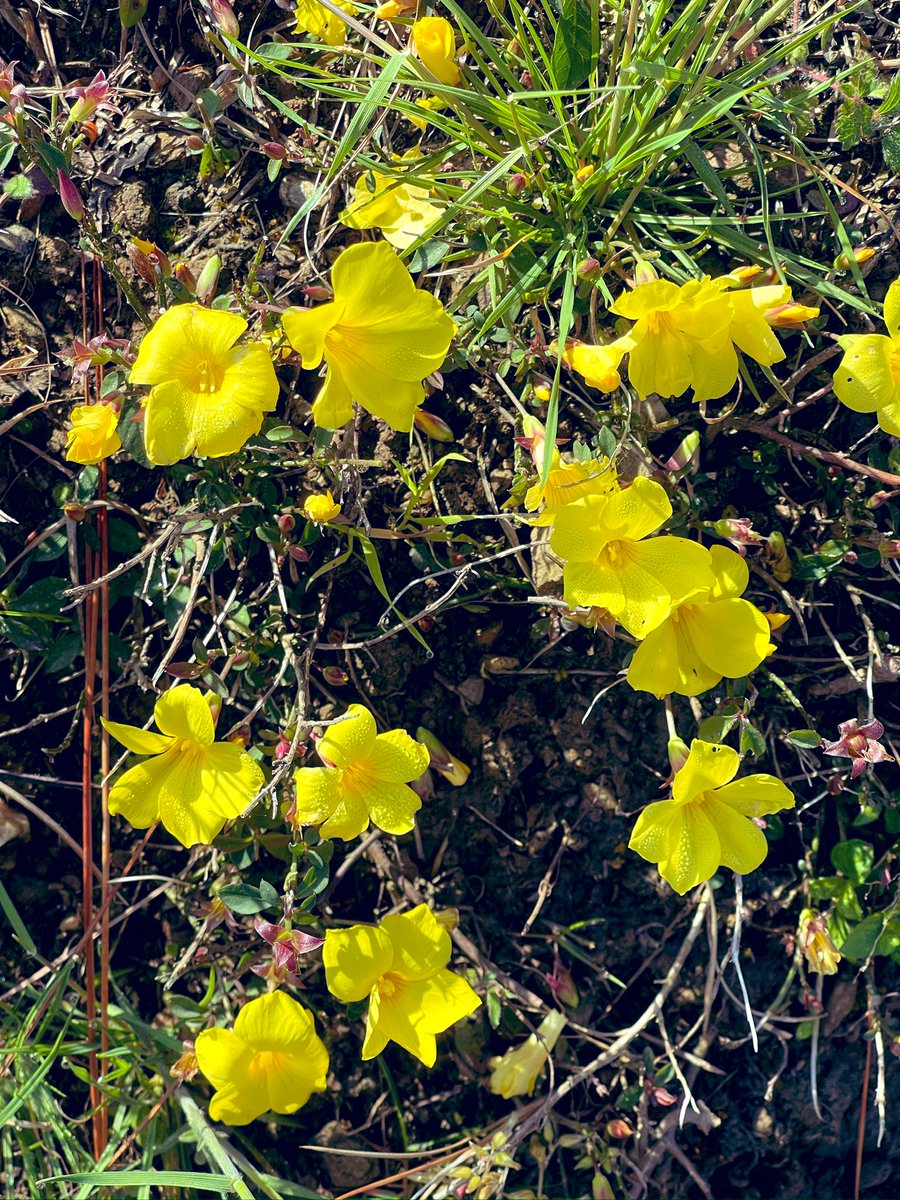 Alka Joshi Kaushik tweet media