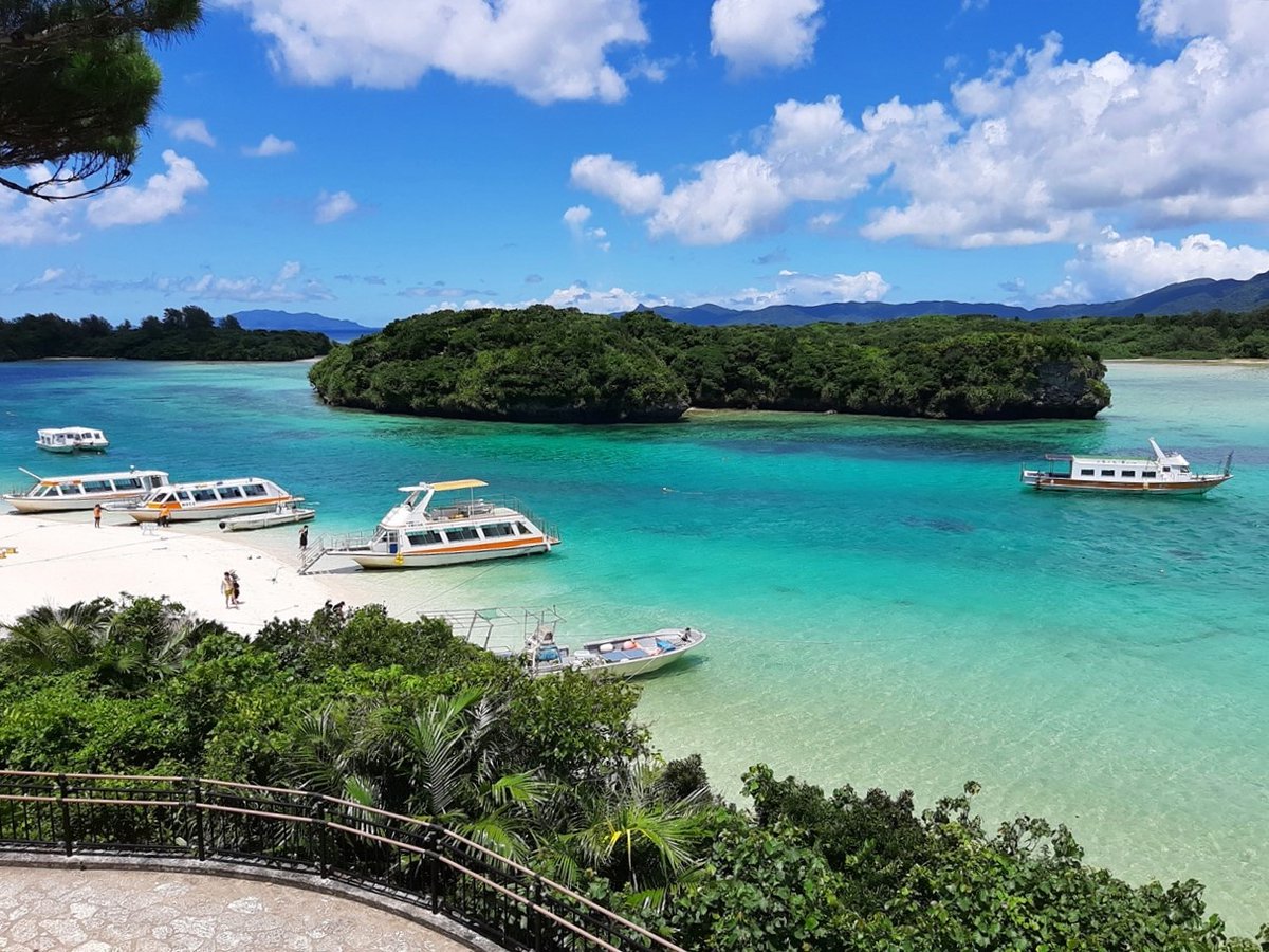 旅先での写真 tweet media