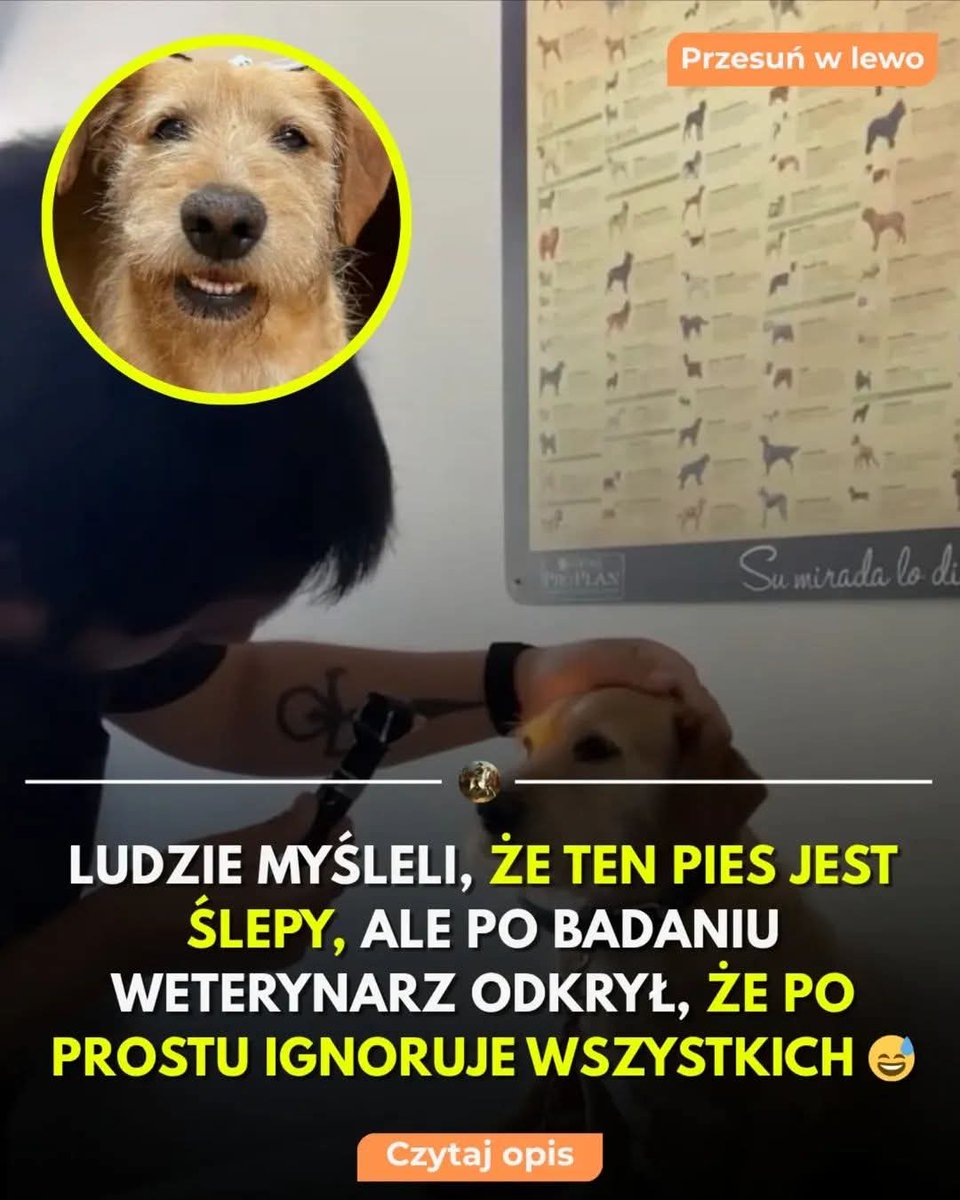 Bartosz Scheuer✝️🔬🧅🇵🇱🇹🇲🦄✡️ tweet media