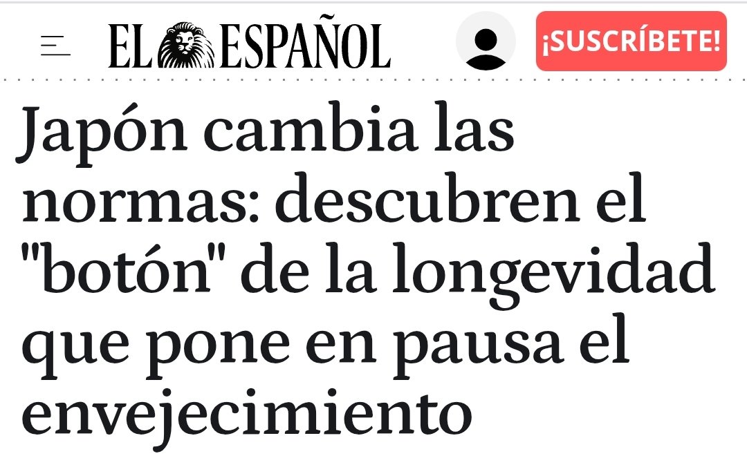 Juan Magufo tweet media