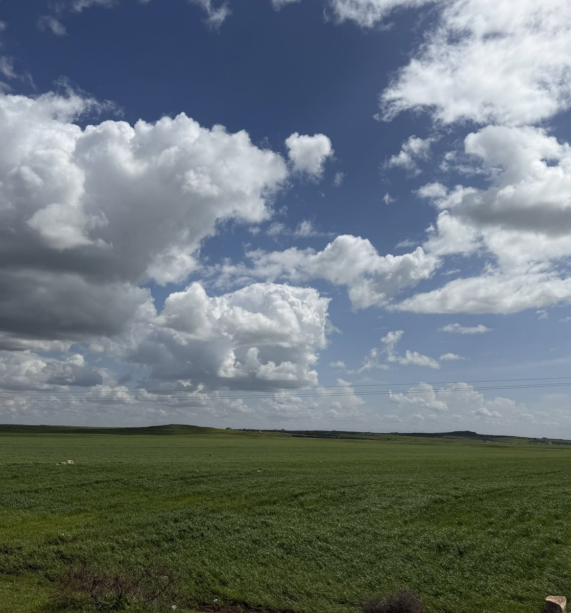 طـارـق tweet media