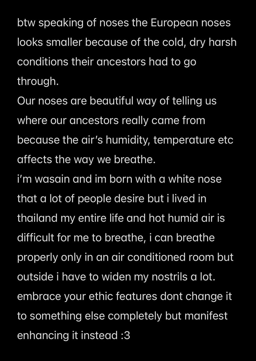 stella 𓃠 tweet media