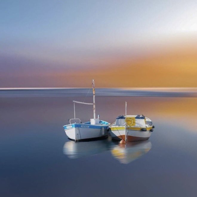 Rose🌸 tweet media