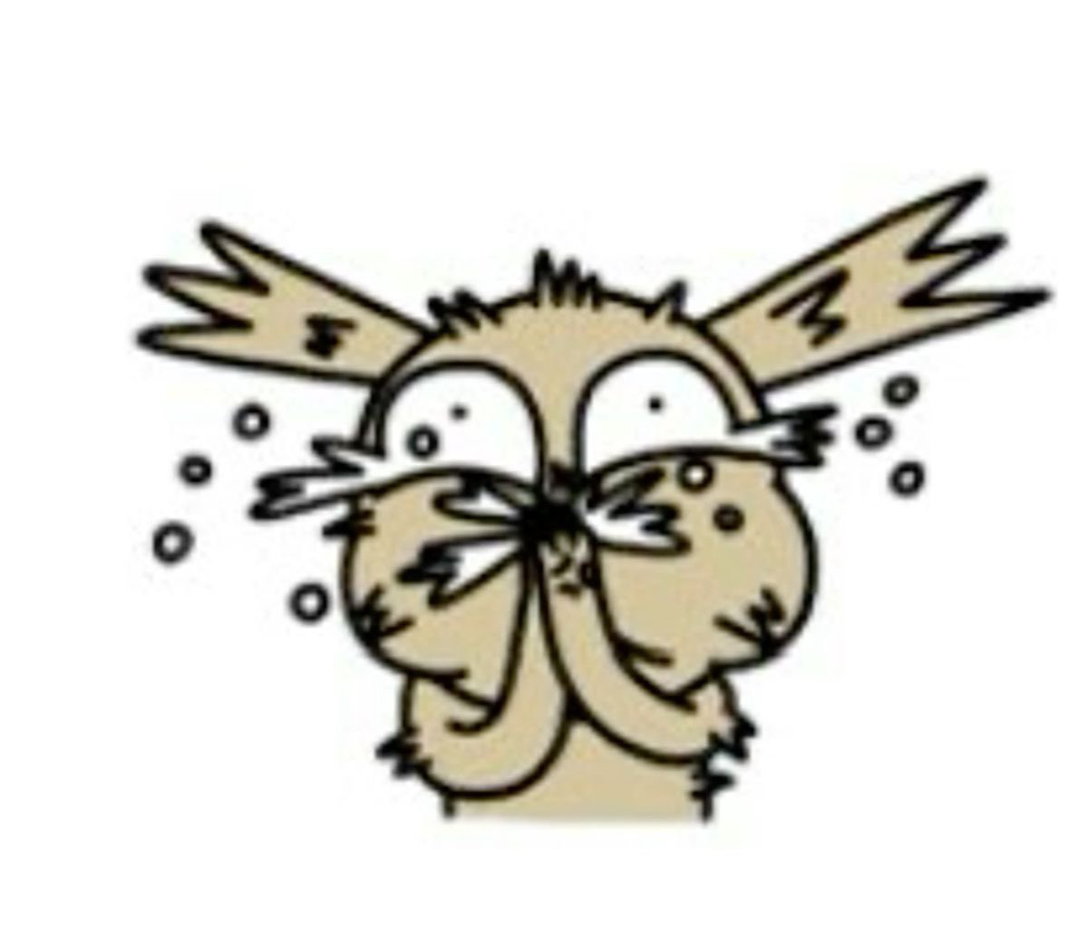 이리 イリ tweet media