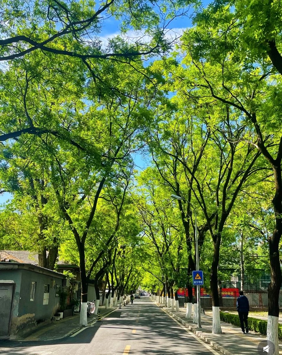 Monica Hobbs tweet media