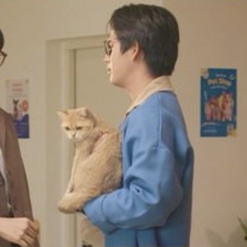 🦥leove💰 tweet media