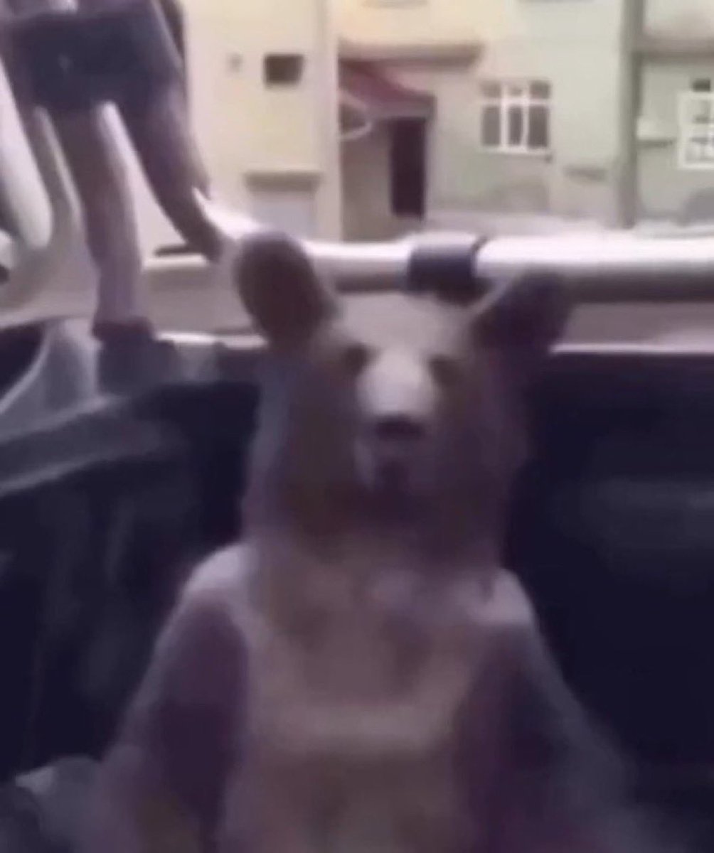 دحمي 🟡 tweet media