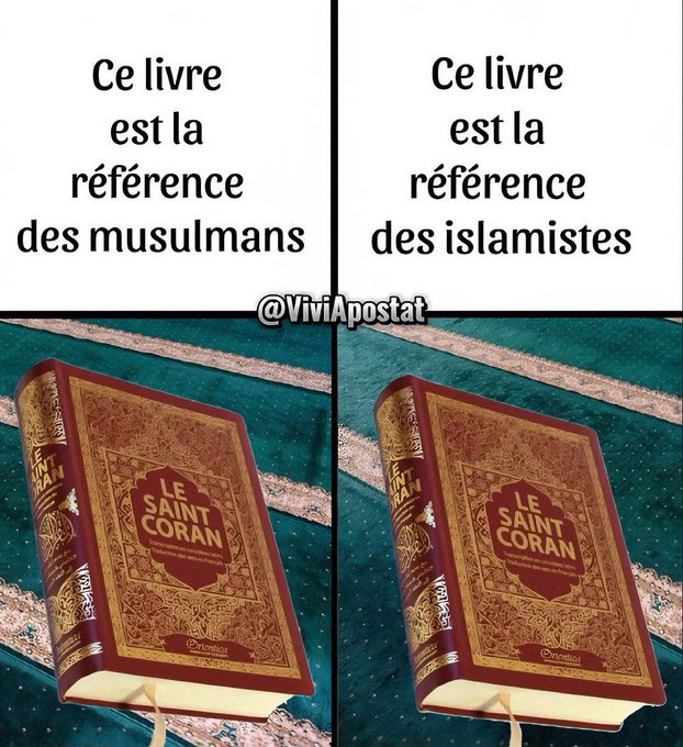 microzyma tweet media