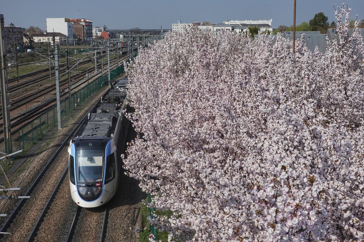 Benoît Mazerolles tweet media