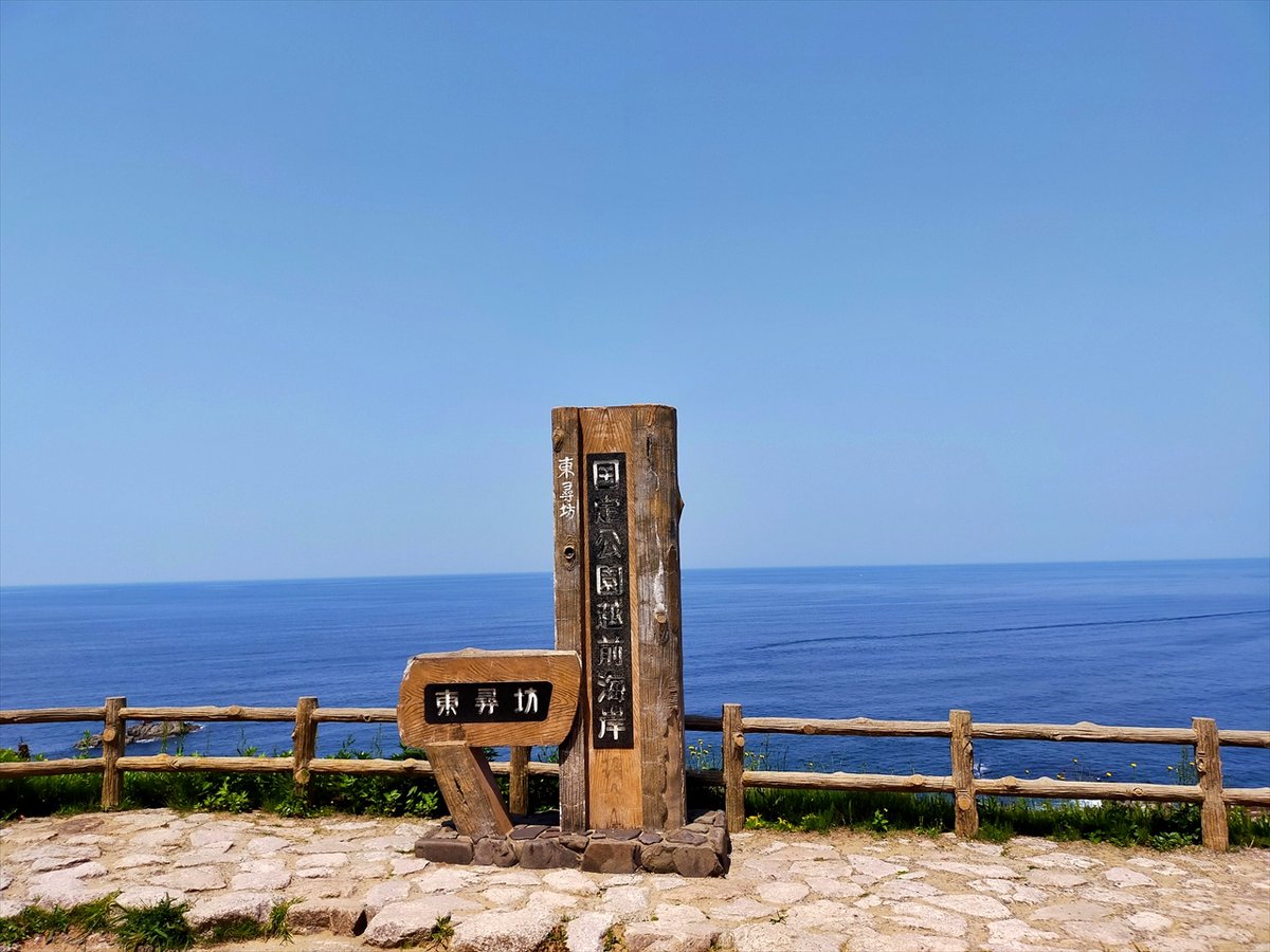 旅先での写真 tweet media
