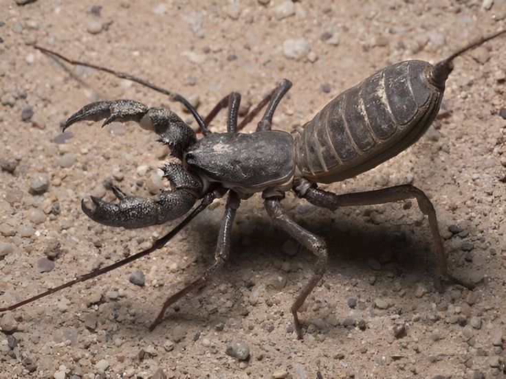 Ghost_Mark tweet media