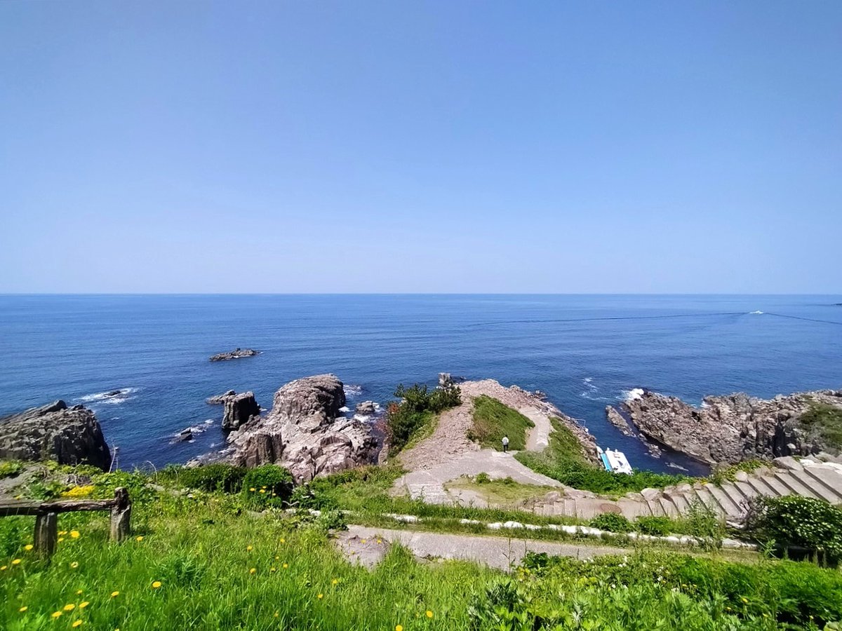 旅先での写真 tweet media