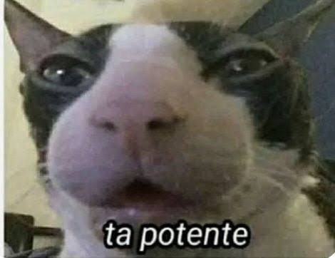 Mark Tozzy#GOPAIN tweet media