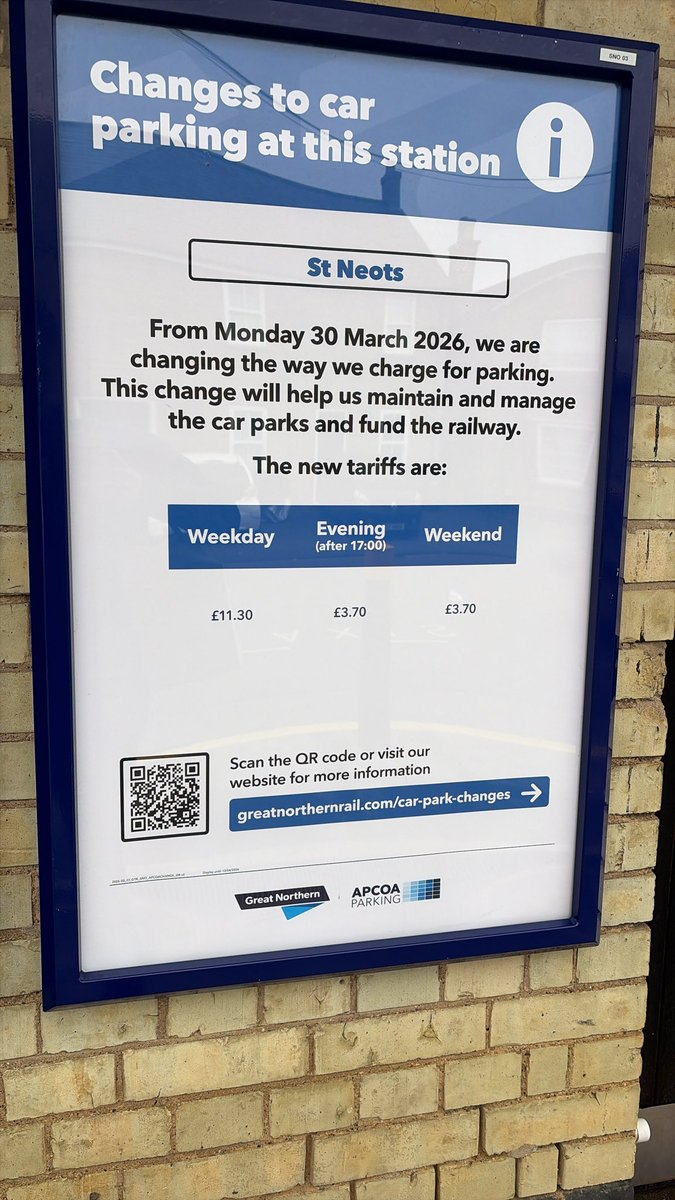 Ashley Marsh tweet media