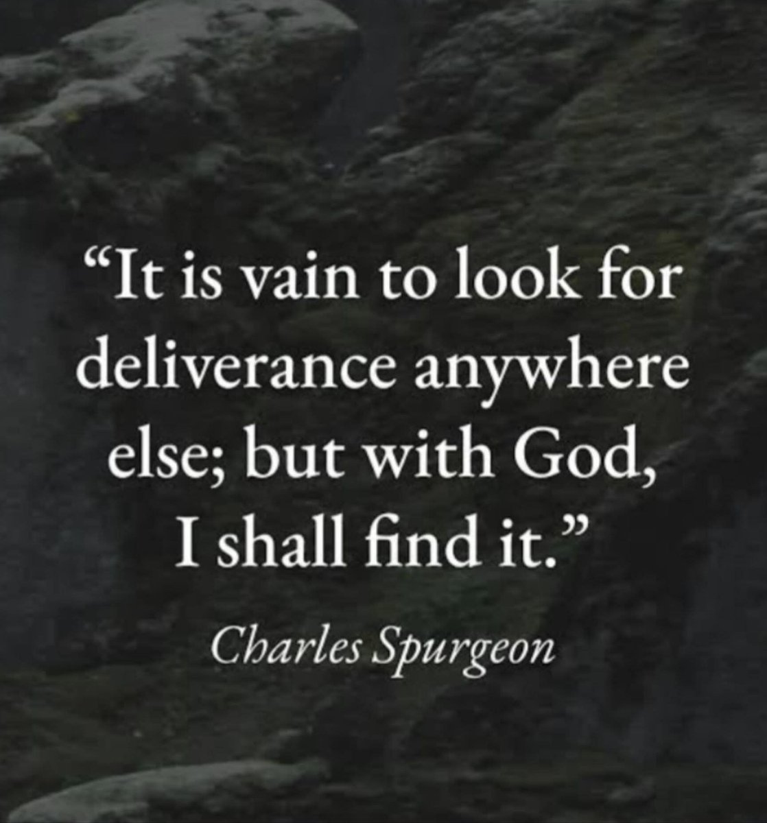 𝓚𝓪𝓽𝓲𝓮 𝓦𝓪𝓵𝓽𝓮𝓻 🌷 tweet media