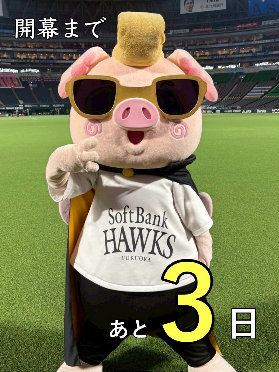 ハリーホーク(公式) tweet media