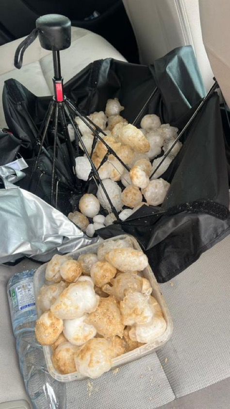 برق سدير tweet media