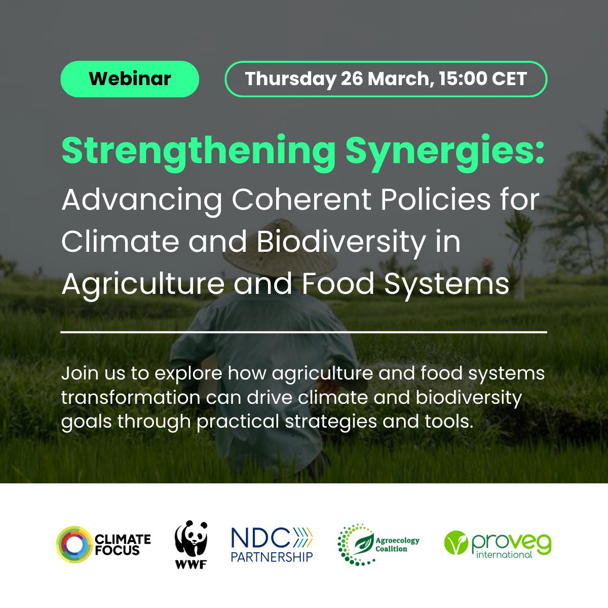 NDC Partnership tweet media