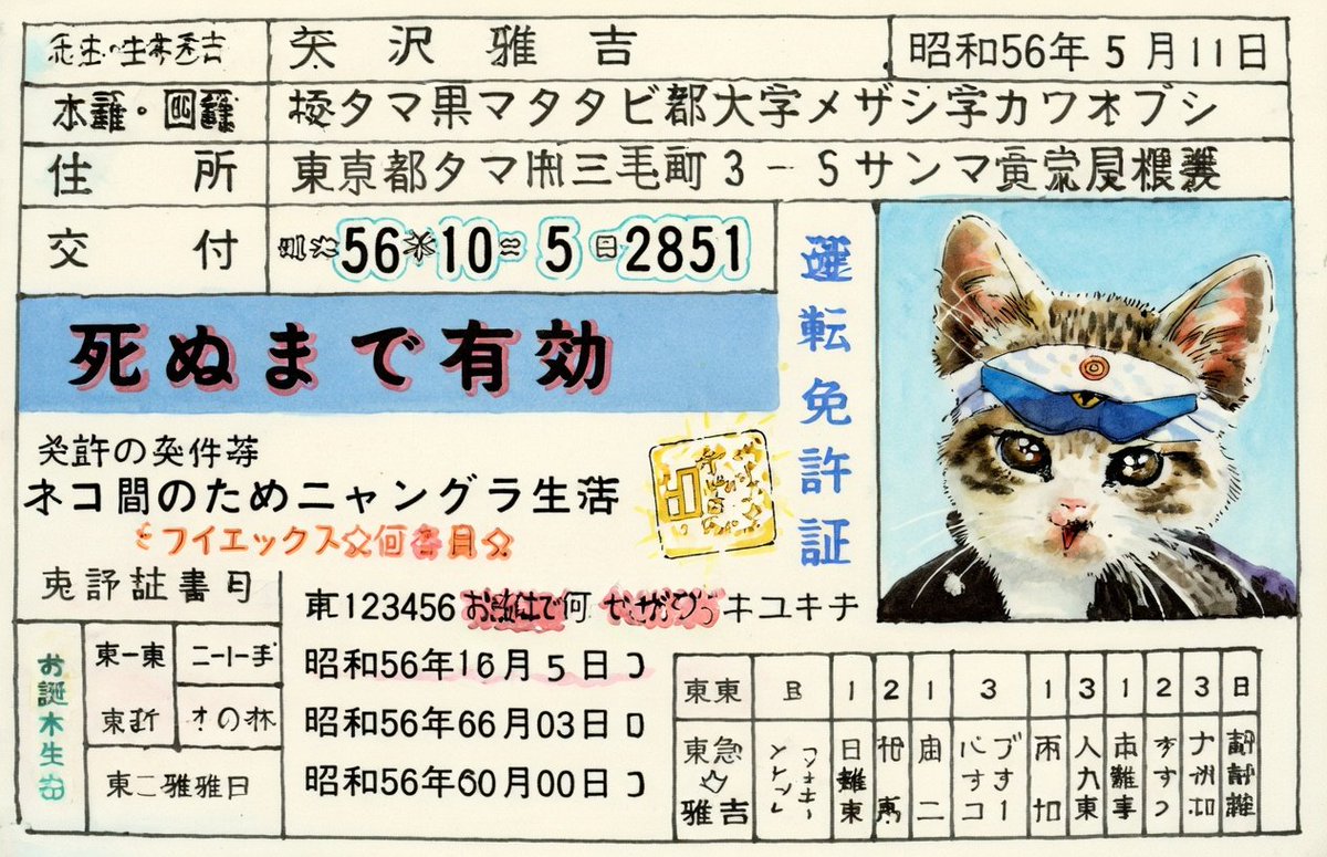 fortyRider@Ninja1000 tweet media